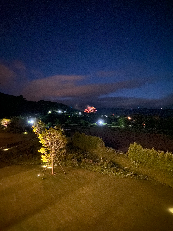 客室から見える花火