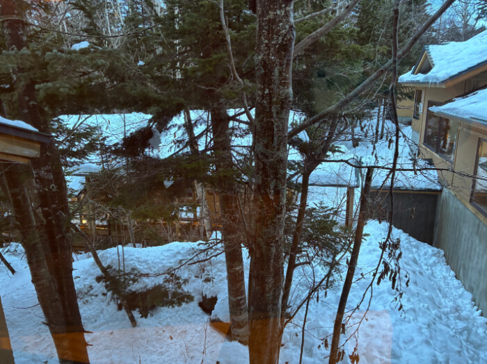 洋室ツインからの眺望。木が生い茂っており、宿の屋根や地面には雪が積もっている。